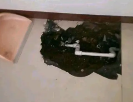 平坝卫生间测漏水多少钱